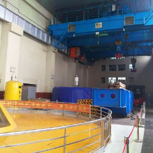 起重設(shè)備專業(yè)維護/保養(yǎng)/大修